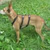 Sol6 sucht ein Zuhause