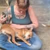 Sol6 sucht ein Zuhause