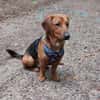 💙Mika💙 sucht seine Familie