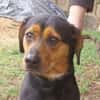 STELLA 2 sucht Zuhause