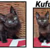 Kufu