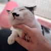 Mortimer