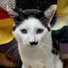 Mortimer