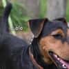 LOLO