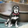 Dita, super brave Seniorin