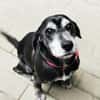 Dita, super brave Seniorin