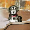 Dita, super brave Seniorin