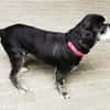 Dita, super brave Seniorin