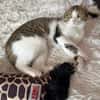 Lexi Quasselstrippe sucht ihre Familie