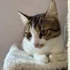 Lexi Quasselstrippe sucht ihre Familie