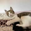 Lexi Quasselstrippe sucht ihre Familie
