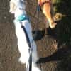 Cayla, geb. ca 05/2024, 54647 Dudeldorf