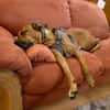Tilly sucht ein Zuhause