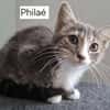 PHILAE
