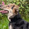 Zauberhafte Annegret sucht Zuhause