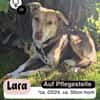 Hübsche LARA sucht Dich !