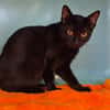 gabin
