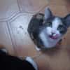Lucy