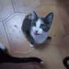 Lucy