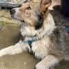 Andy sucht Zuwendung und Konsequenz