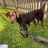 Mina💜💜💜 Für-immer-Zuhause gesucht