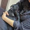 Fifi, wunderbarer Hundemann, 7J 49326