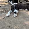 Tilly
