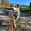Lola ist wieder auf der Suche