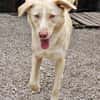 ‼ CREAM in 41236 Mönchengladbach🆘🆘