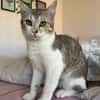 Jinx & Lexi suchen ihre Familie