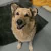Sanfte, liebe Alicia sucht ihre Familie