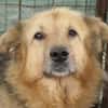 Sanfte, liebe Alicia sucht ihre Familie