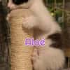 ALOE A RESERVER