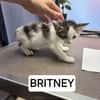 Britney