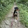 💕Maya💕 sucht sportliches Zuhause