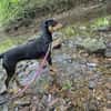 💕Maya💕 sucht sportliches Zuhause
