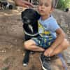 Sensibler ruhiger BLACKY sucht ♥