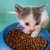 ABY