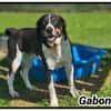 GABON