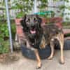 Amal sucht sein Zuhause
