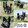 FINO -lebenslustig & aktiv-