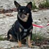 Lidia in 82362 Weilheim #
