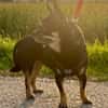 Lidia in 82362 Weilheim #