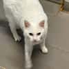 MINETTE