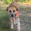Aranel : Grosser Schatz sucht Kuschelpla