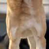 Aranel : Grosser Schatz sucht Kuschelpla