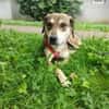 Nalla  kleine Lady sucht großes Glück!