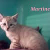Martine