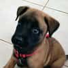 NALA, la magnifique rescapée