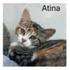 ATINA   A RESERVER